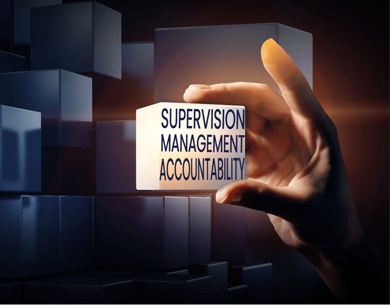 Aspect PMC - SUPERVISION, MANAGEMENT, ACCOUNTABILITY