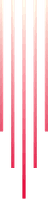 Decorative divider